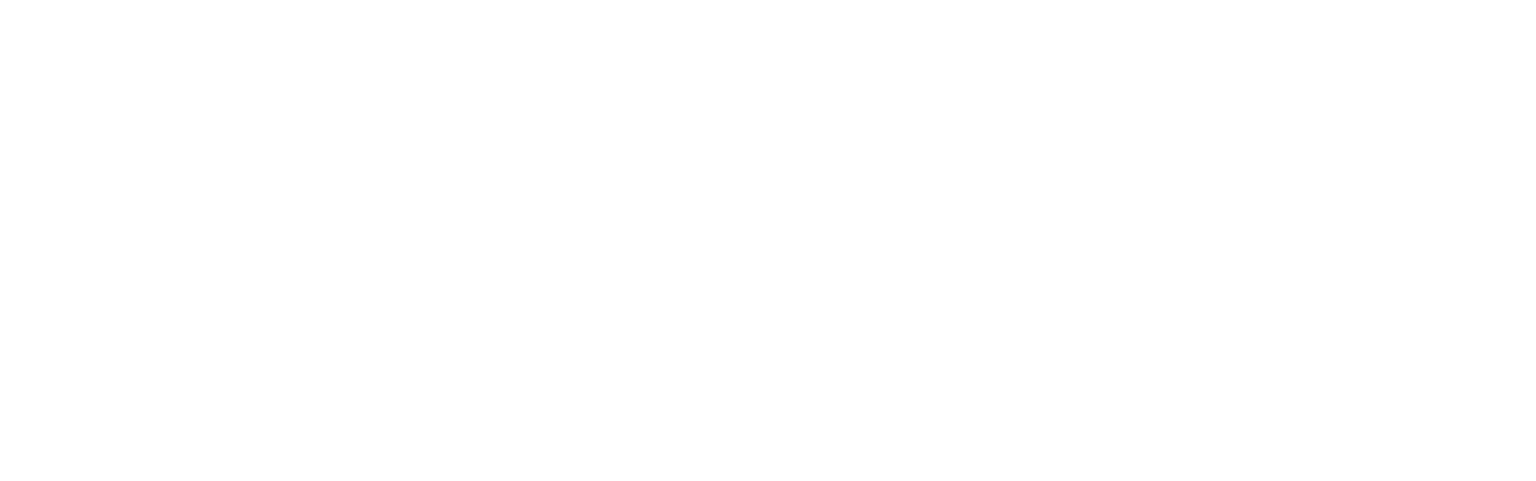 Action Lens Studio Logo
